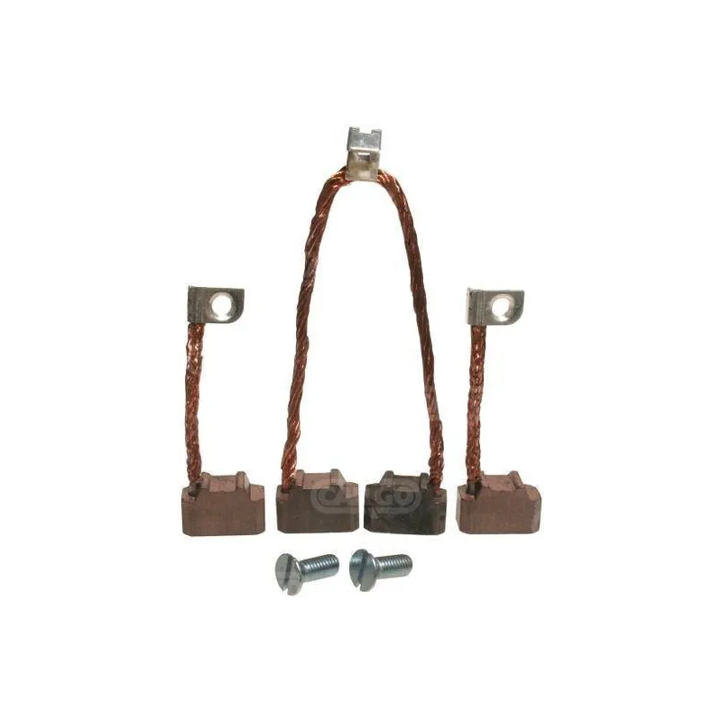 Brush Set, Ford D80F11001AA, E1AF11001BA