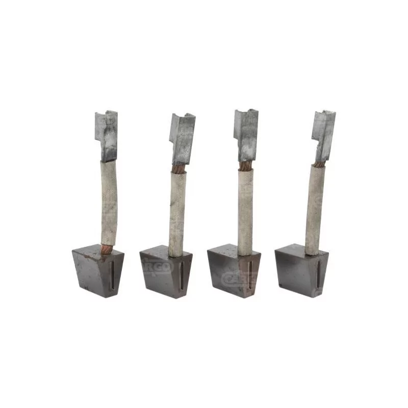 12 Volt Brush Set