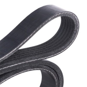 Courroie Poly-V BMW 11281706545, 11287636379, 112877636379