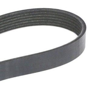 Courroie Poly-V BMW 11287509520, 11287636372, 55580053