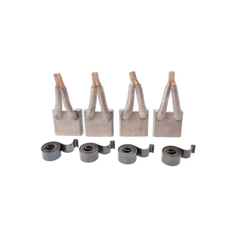 Brush and spring set, Iskra 11.130.010, 11.130.339, AZJ3188 Brush and spring set, Iskra 11.130.010, 11.130.339, AZJ3188