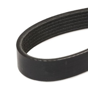 Courroie Poly-V ALFA ROMEO 46540546, 60813506, 60814847