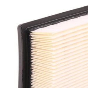 Filtre à air BMW 13711247405, 13721247404, 13721247405