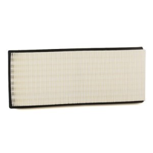 Filtre à air AC PC2519E, 1X439601AA, C2S11215
