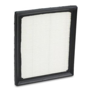 Filtre à air LEXUS, TOYOTA 1780137020, 1780137021, 1770037250