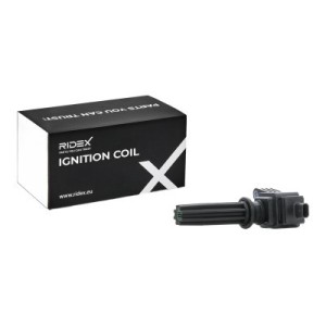 Bobine d'allumage FORD 2036331, 5121001, 5153009