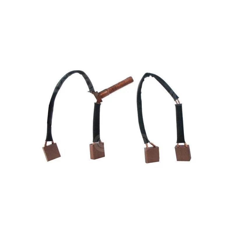 Bürstenset, Butec 859411, 859839, 859970, LNS4524/6 Bürstenset, Butec 859411, 859839, 859970, LNS4524/6