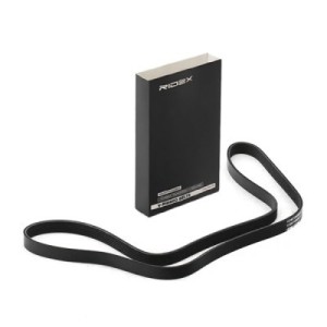 Courroie Poly-V AUDI 078903137AN, 11287631811, 11287552236