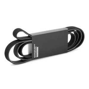 Courroie Poly-V CHEVROLET 25182242, 25182242, 4802240