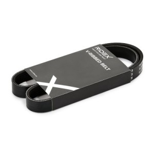 Courroie Poly-V FORD 2190430, JN1Q6C301AA, PY0115909