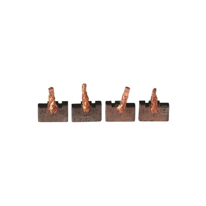 Set spazzole, Bosch 0001218822, 0001223002, Krauf STB0996, STB1198 Set spazzole, Bosch 0001218822, 0001223002, Krauf STB0996, STB1198