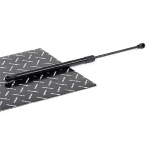 Vérin de coffre PEUGEOT 9807899380