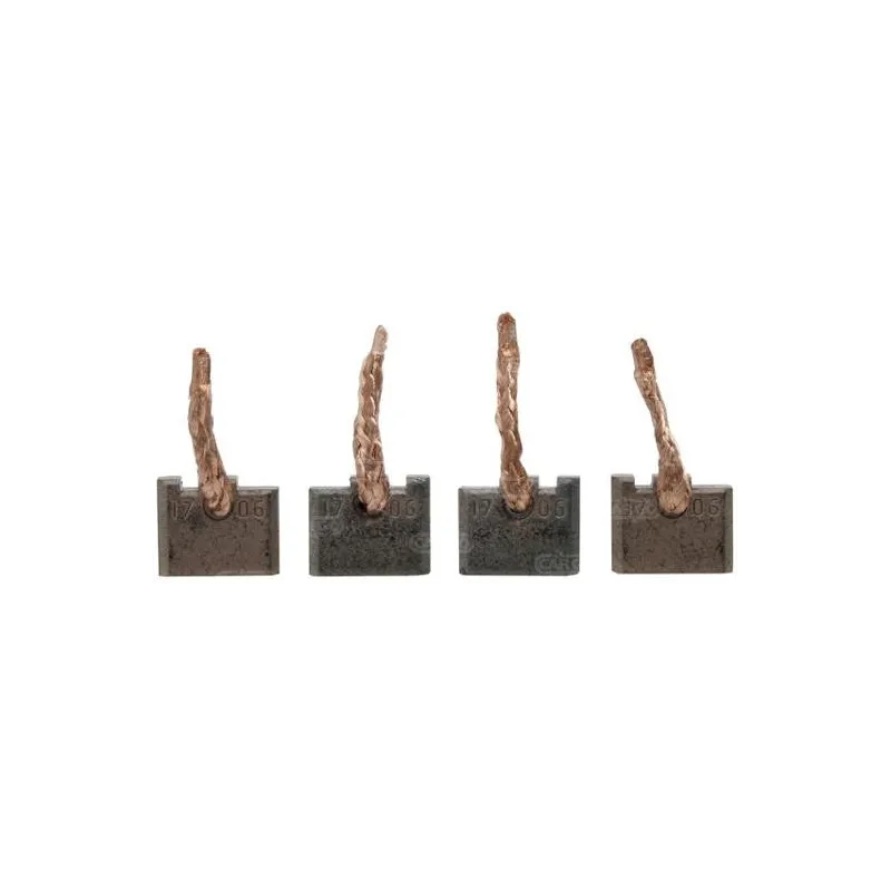 Conjunto de pincéis, Bosch 0001108210, F000AL0110, F004A94007, F005M00001