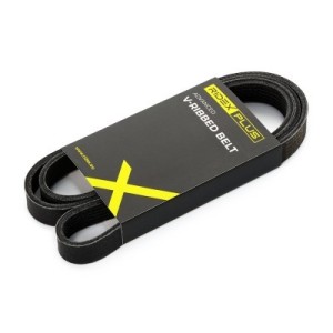 Courroie Poly-V FORD 1761929, CM5Q6C301BA, CM5Z8620F