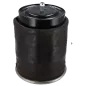 Air cushion, with steel piston for Renault Magnum, Premium PR, TR, 2 - 5010557356