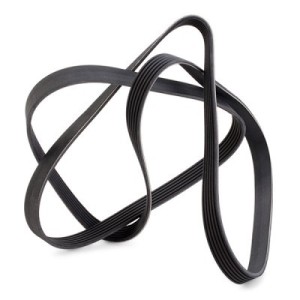 Courroie Poly-V CHEVROLET 25182242, 25182242, 4802240