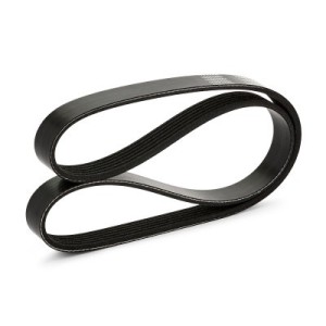 Courroie Poly-V FORD 2190430, JN1Q6C301AA, PY0115909