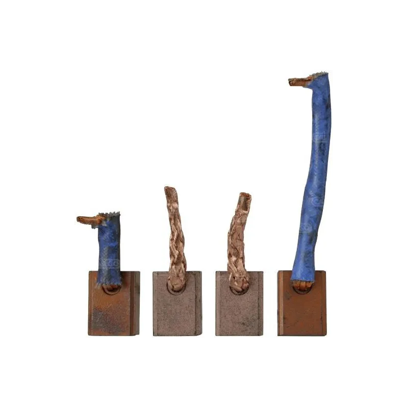 Set spazzole Magneti Marelli 63103003