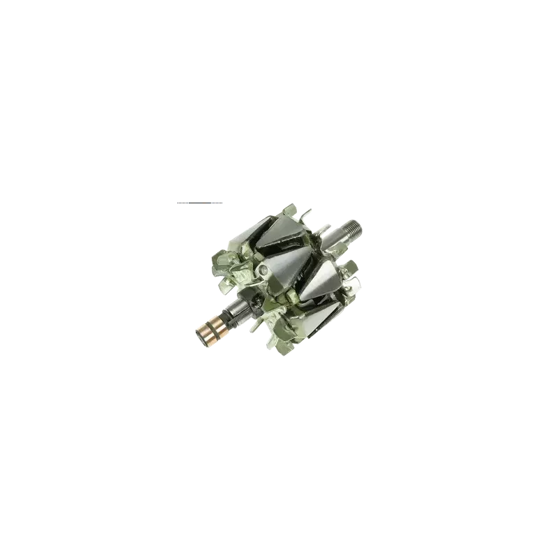 Rotori di alternatori per Bosch 0120000023, 0123320036, 0124315015, 0 Rotori di alternatori per Bosch 0120000023, 0123320036, 0124315015, 0