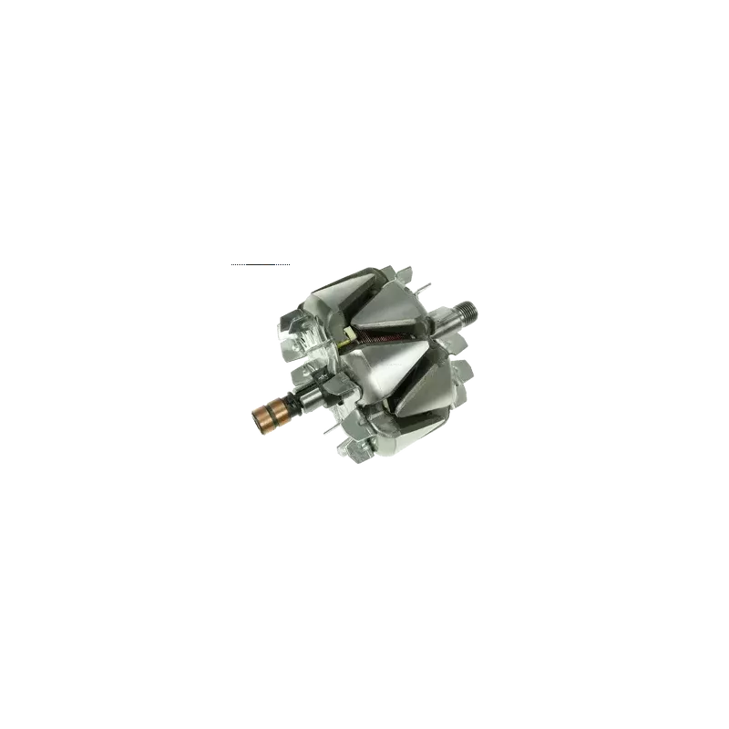 Rotori di alternatori per: Bosch 0123520006, 0123520007, 0123520008, Rotori di alternatori per: Bosch 0123520006, 0123520007, 0123520008,