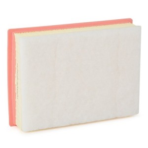 Filtre à air ALPINA 13721744869