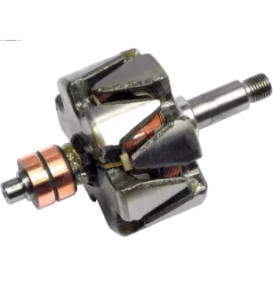 Rotore di alternativi per Bosch 01204888153, 0120488269, 0120488270, 01