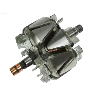 Rotore di alternatori per Bosch