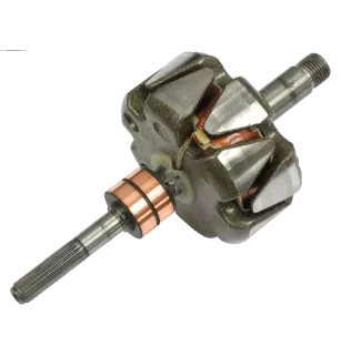 Rotore di alternatori per Bosch F002G10862