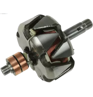 Rotore di alternativi per Bosch 0120484038, 0120484040, 0120488206, 01
