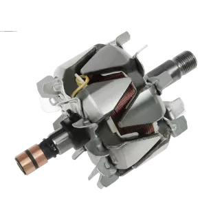 Rotor der Lichtmaschinen für Bosch 0124315001, 0124315002, 0124315003, 01