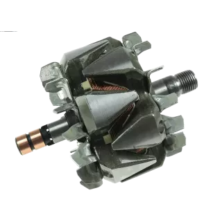 Rotor von Lichtmaschinen für Bosch F000BL0408, F000BL04C9, F000BL04M7