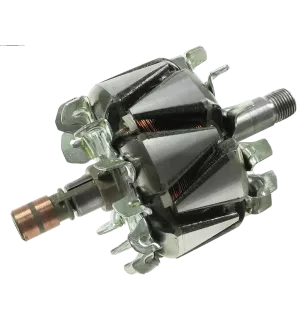 Rotor der Lichtmaschinen für Bosch 0123315503, 012335003, 0124325108, 01