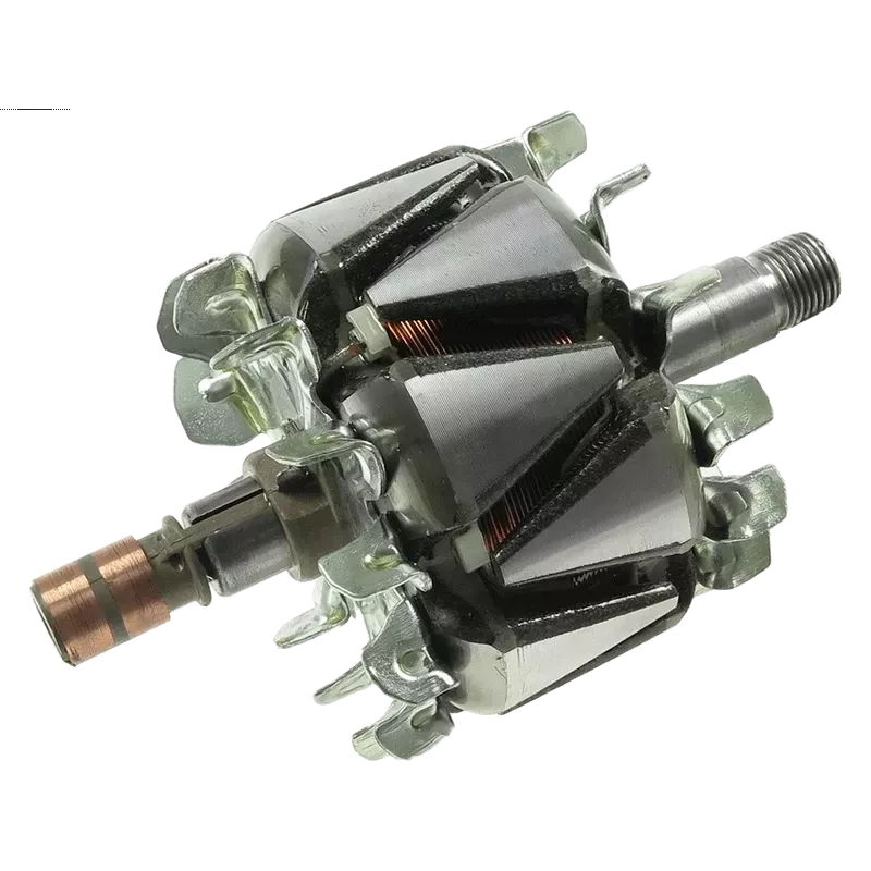 Rotor der Lichtmaschinen für Bosch 0123315503, 012335003, 0124325108, 01