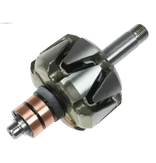 Rotore di alternatori per Bosch 0120300518, 0120300519, 0120300522, 01