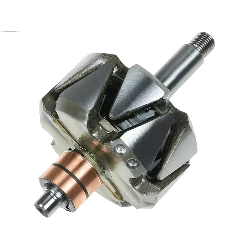 Rotore di alternatori per Bosch 0120488224, 0120488268, 0120489023, 01