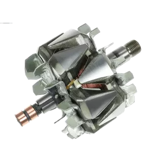 Rotor de alternadores para Bosch