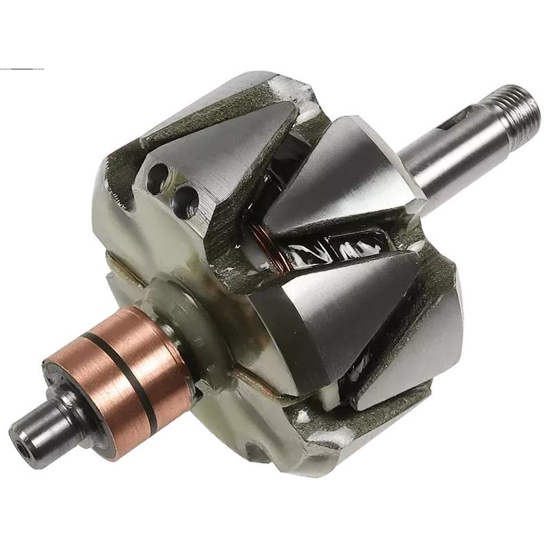 Rotor de alternadores para Bosch 0120489325, 0120489556