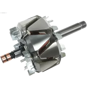 Rotor der Lichtmaschinen für Bosch 0124625043, 0124625044, 0124625068