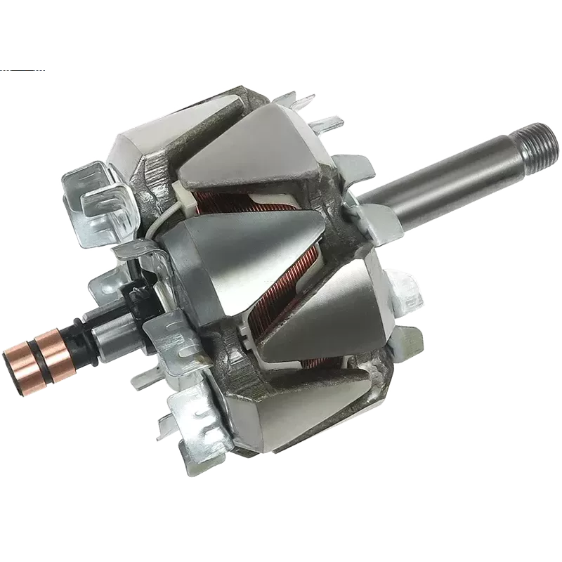 Rotor der Lichtmaschinen für Bosch 0124625043, 0124625044, 0124625068