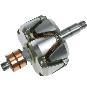 Rotor de alternadores para Bosch 0120484002, 0120484003, 0120484004, 01