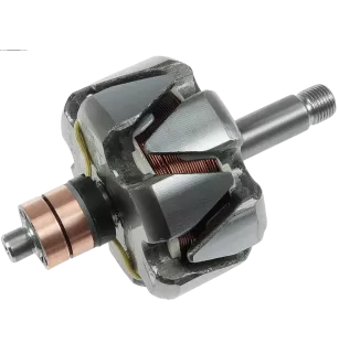Rotor der Lichtmaschinen für Bosch 0120484017, 0120484019, 0120484021, 01