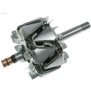 Rotor der Lichtmaschinen für Bosch 0124655076, 0124655120, 0124655134, 01