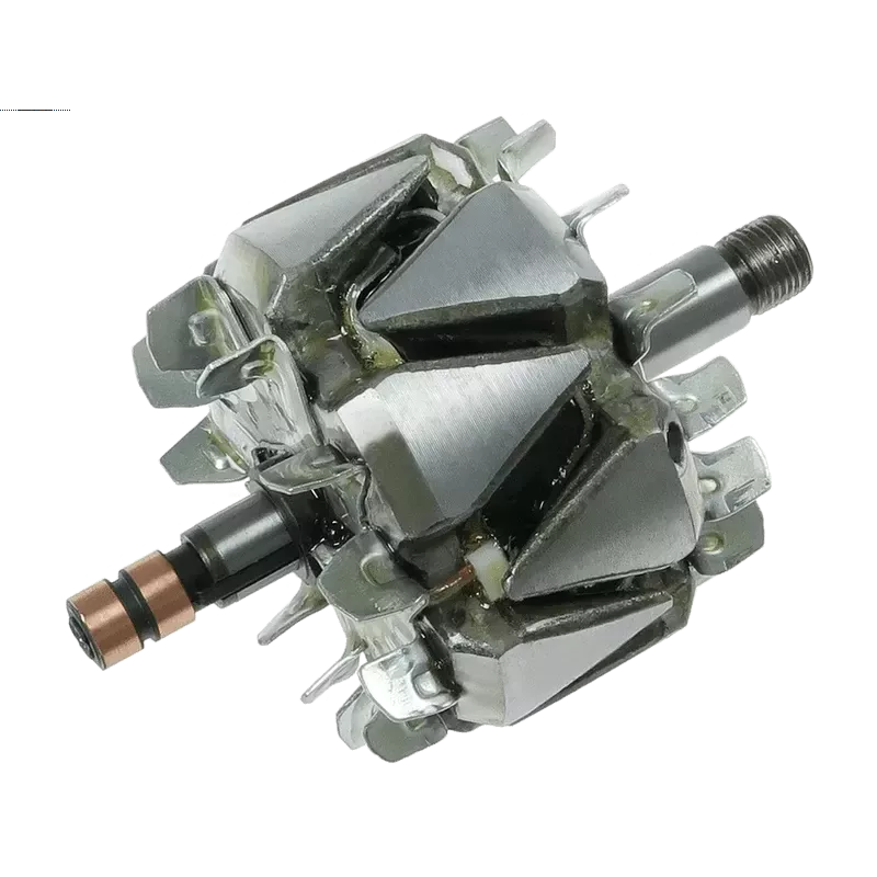 Rotor of alternators for Bosch F000BL06X7, A0793S