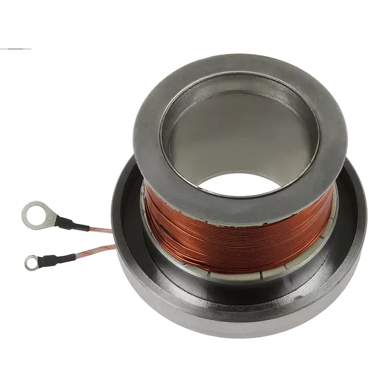 Rotor von Lichtmaschinen für Bosch 01220aa1s0