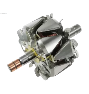 Rotor de alternadores para Delco 96206871