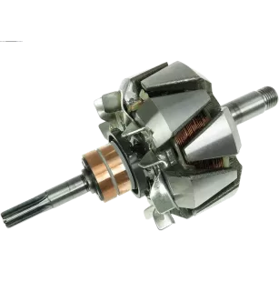 Rotor der Lichtmaschinen für Hitachi LR170505, LR170505B, LR170506, LR170