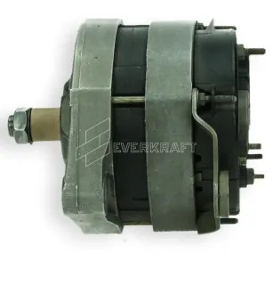 Alternatore Scania Volvo Marine 0120469920, 0120469963, 0986036280