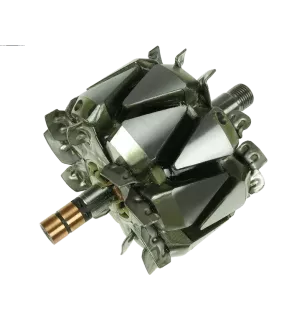 Rotor de alternadores para Valeo 2541873, 2541916, 2542415, 2542416