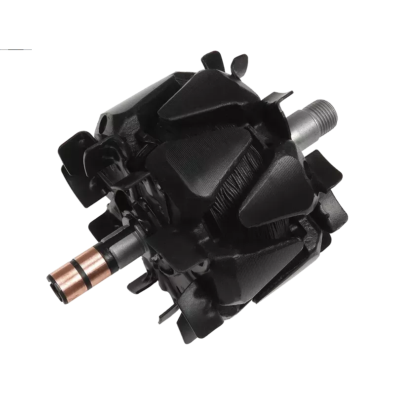 Rotore di alternatori per Valeo FG23S026, TG14C011, TG14C012, TG14C014