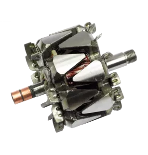 Rotor de alternadores para Valeo 2541842, 2541963, 2542202, 2542251, 25